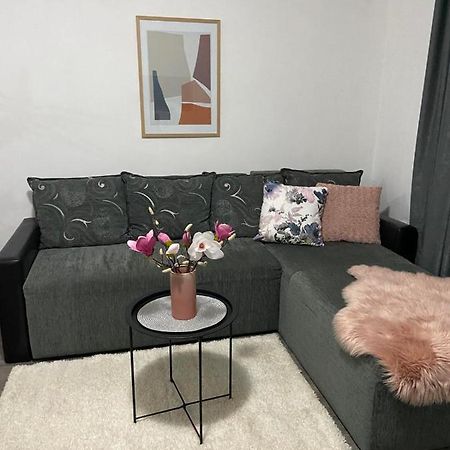Apartman Aleksic ياغودينا المظهر الخارجي الصورة
