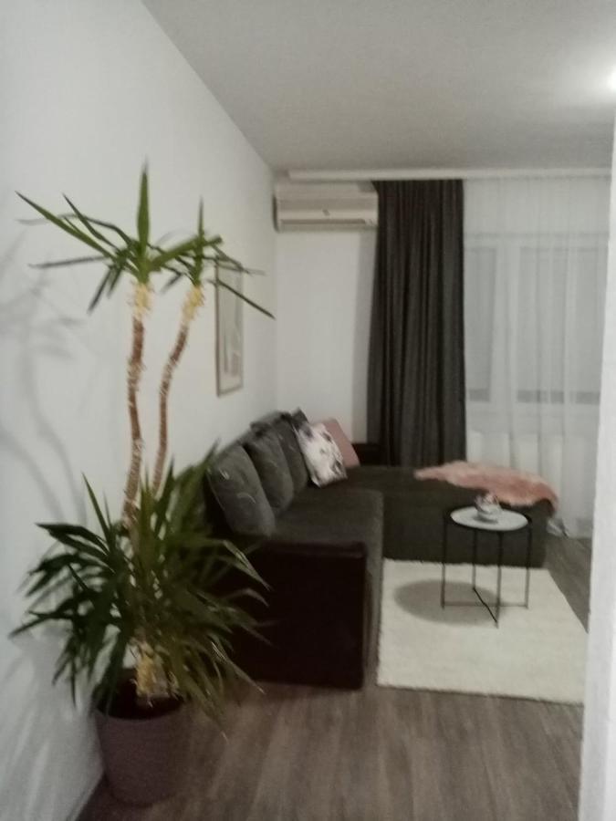 Apartman Aleksic ياغودينا المظهر الخارجي الصورة