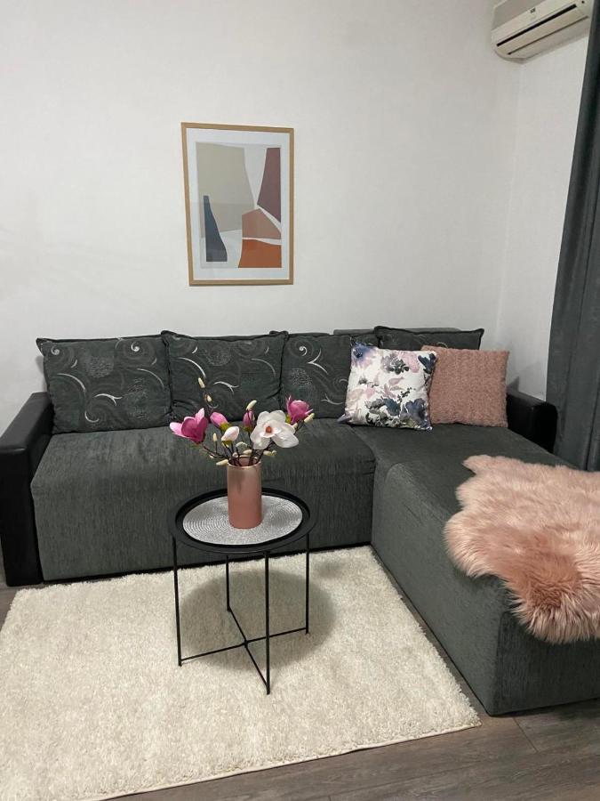 Apartman Aleksic ياغودينا المظهر الخارجي الصورة