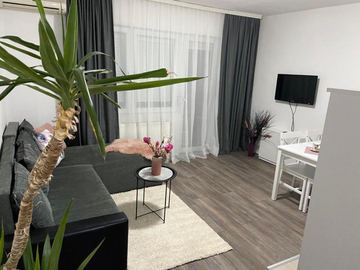 Apartman Aleksic ياغودينا المظهر الخارجي الصورة