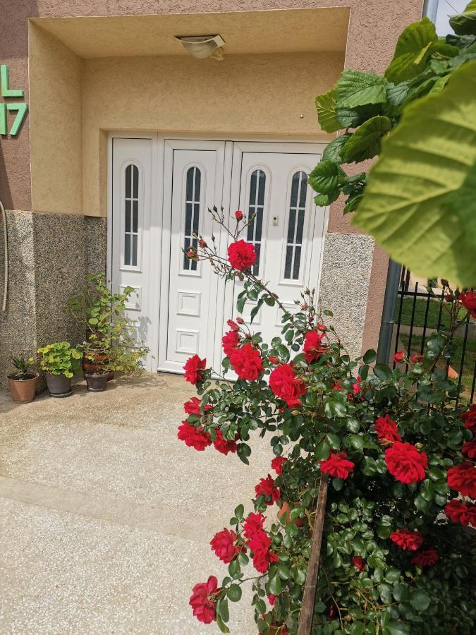 Apartman Aleksic ياغودينا المظهر الخارجي الصورة
